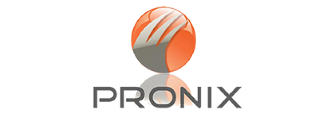 Partner Matchmaking 18 Pronix