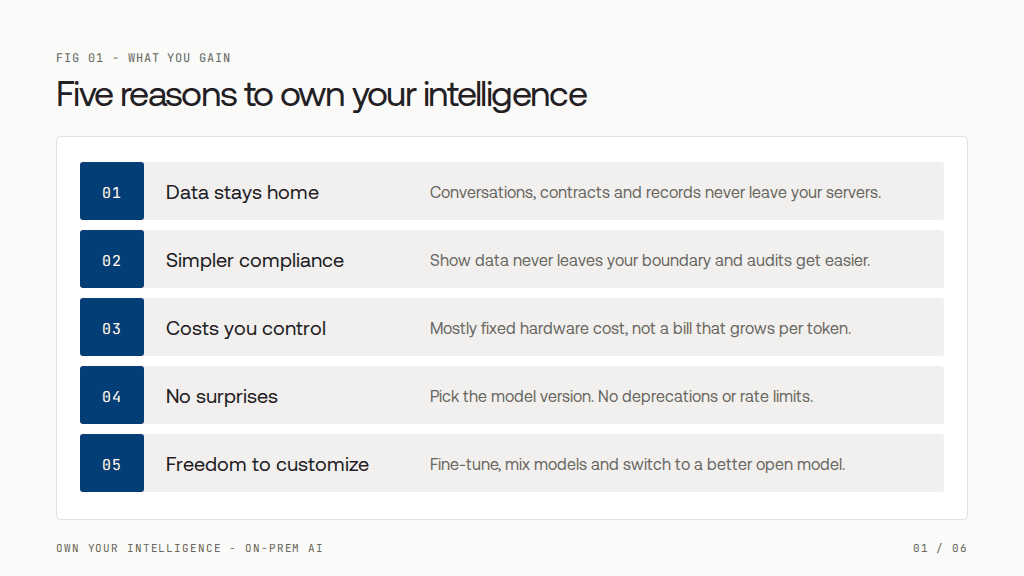 Own Your Intelligence: Why Running Your Own AI Models Pays Off, and What It Really Takes 1 image 75